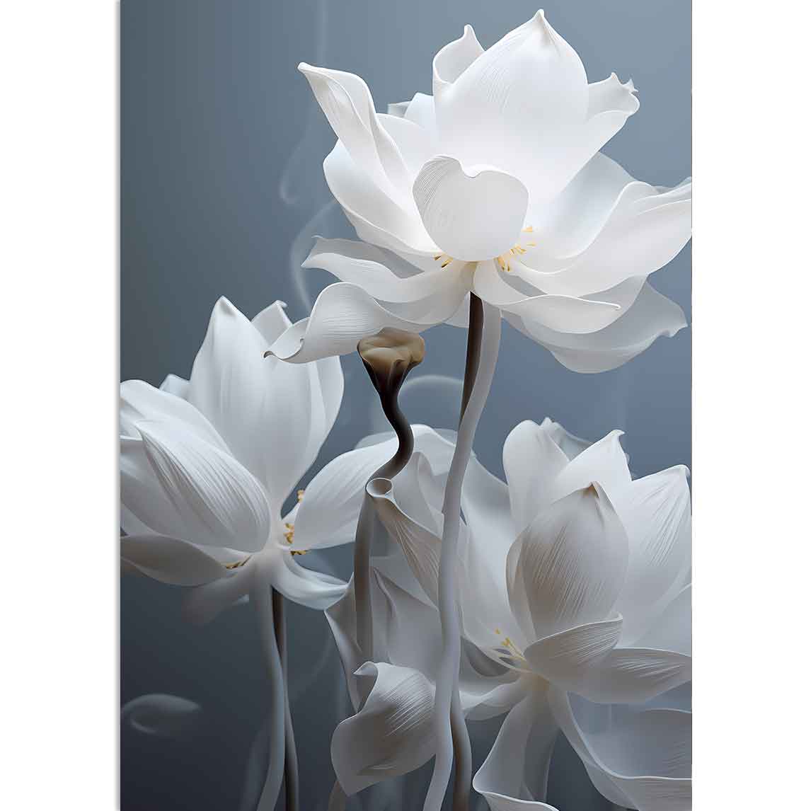 WHITE FLOWERS - Weiße Blume