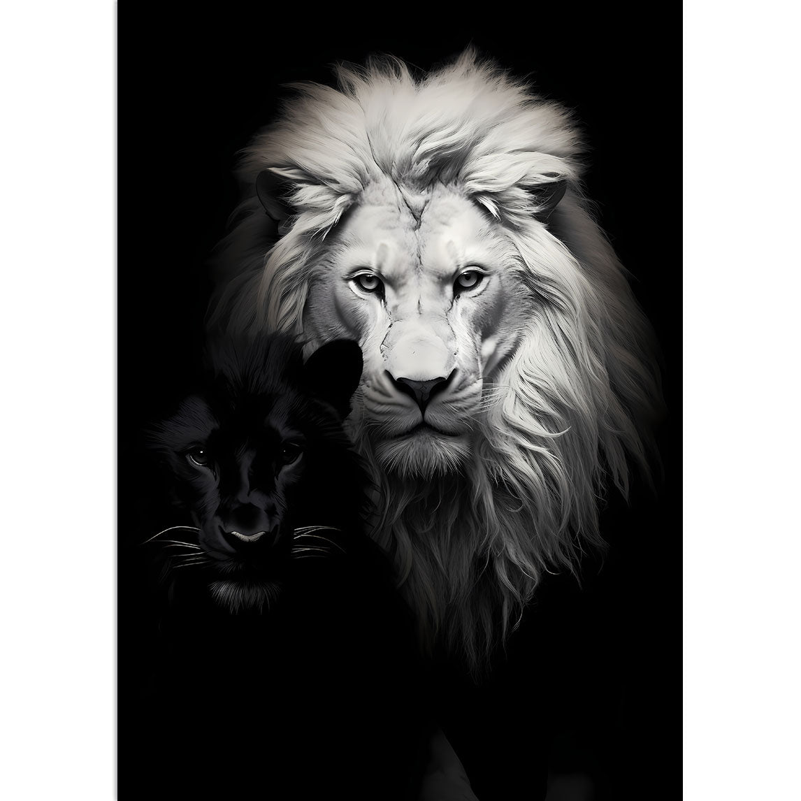 Ein Porträt von einem weißen Löwen und einem kleinen schwarzen Löwen 