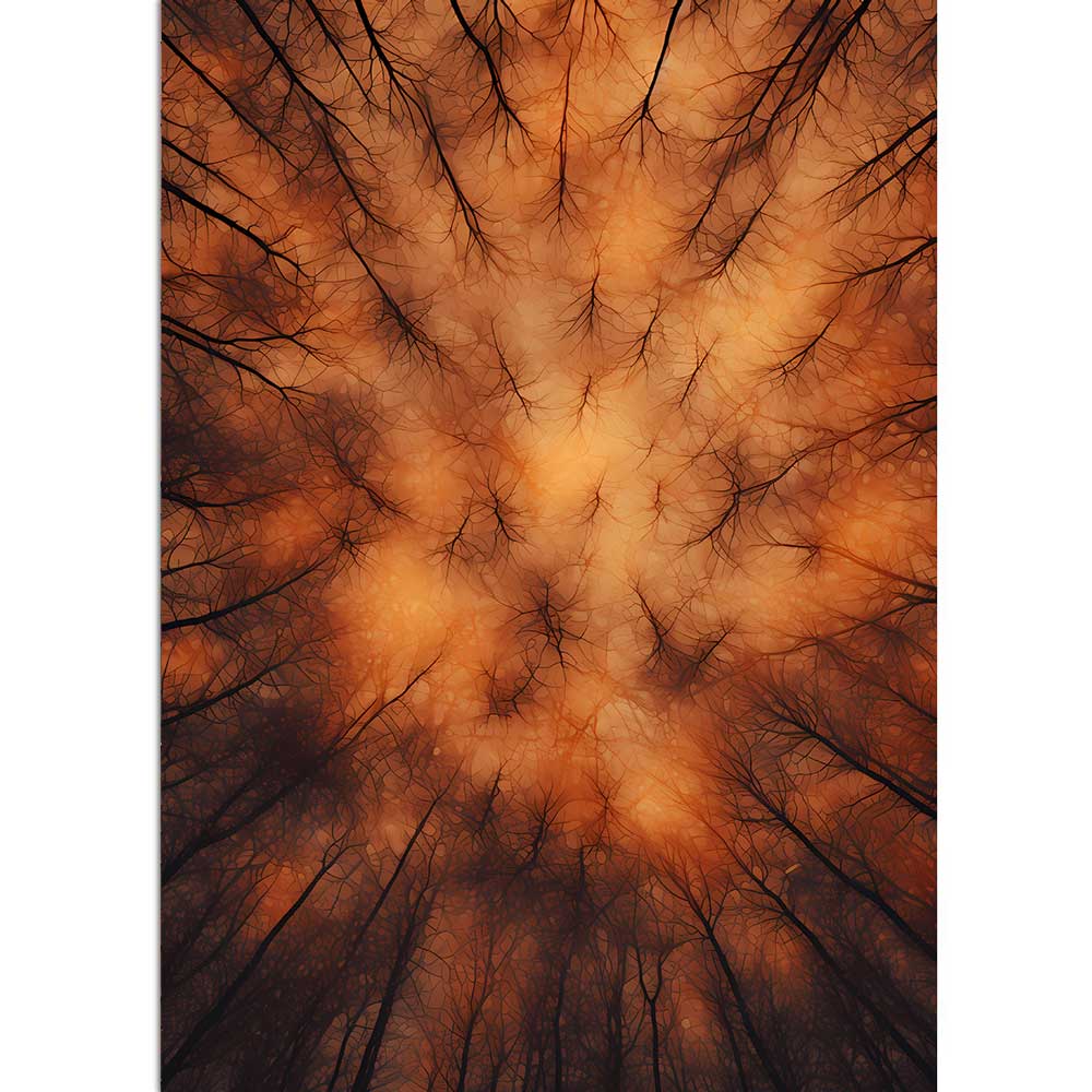 ORANGE WOOD - Mystischer Oranger Wald