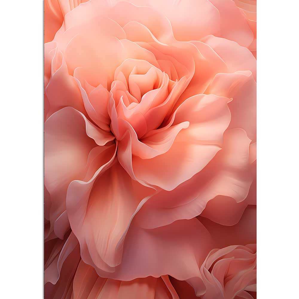 PINK ROSE - Rosa Blume