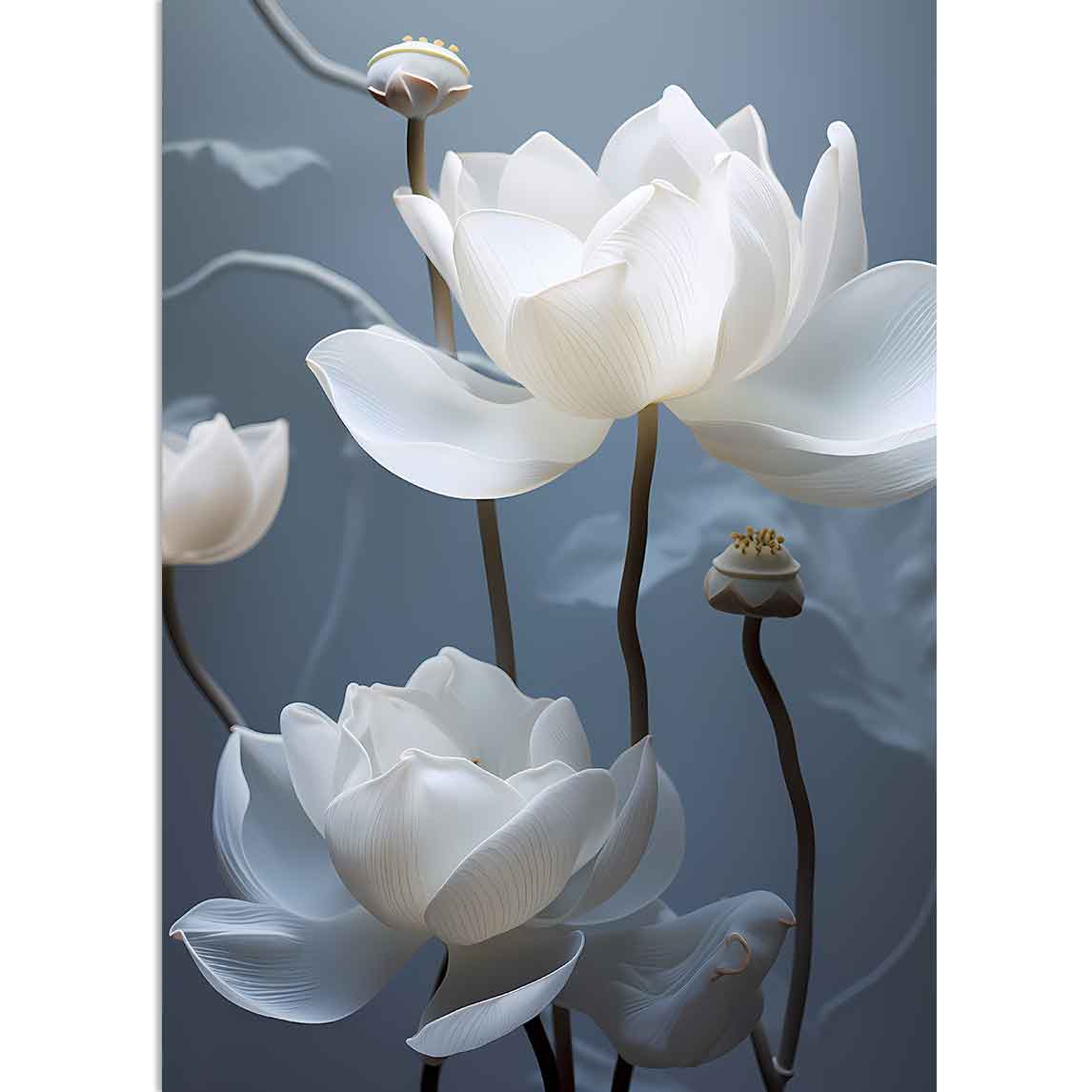 WHITE WATER LILY - Weiße Seerose