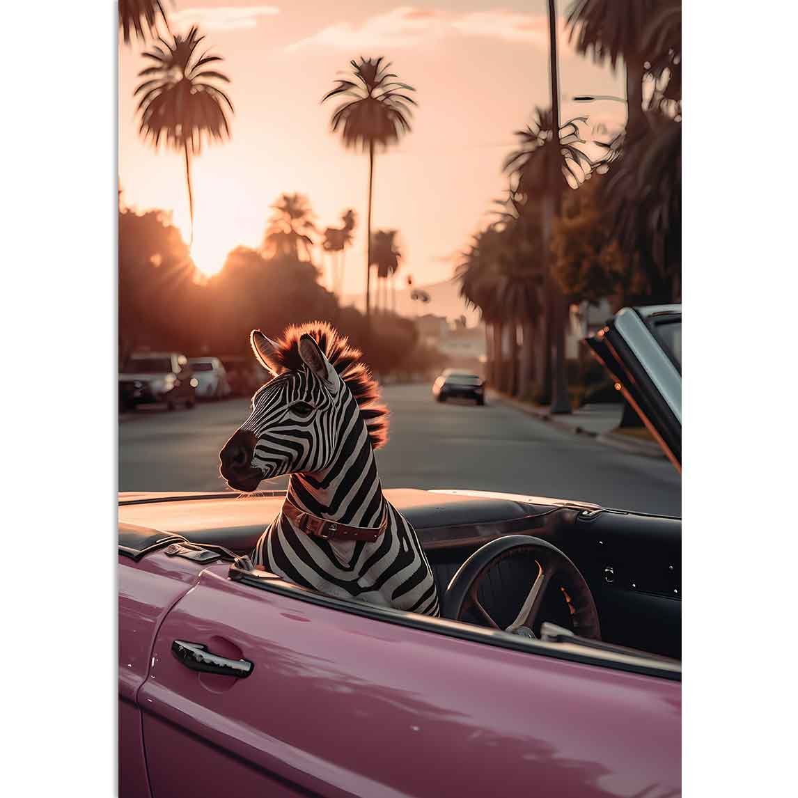 ZEBRA IN CAR - Zebra unterwegs